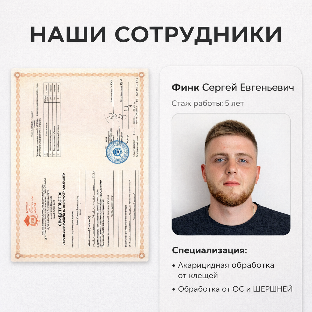 Сотрудник