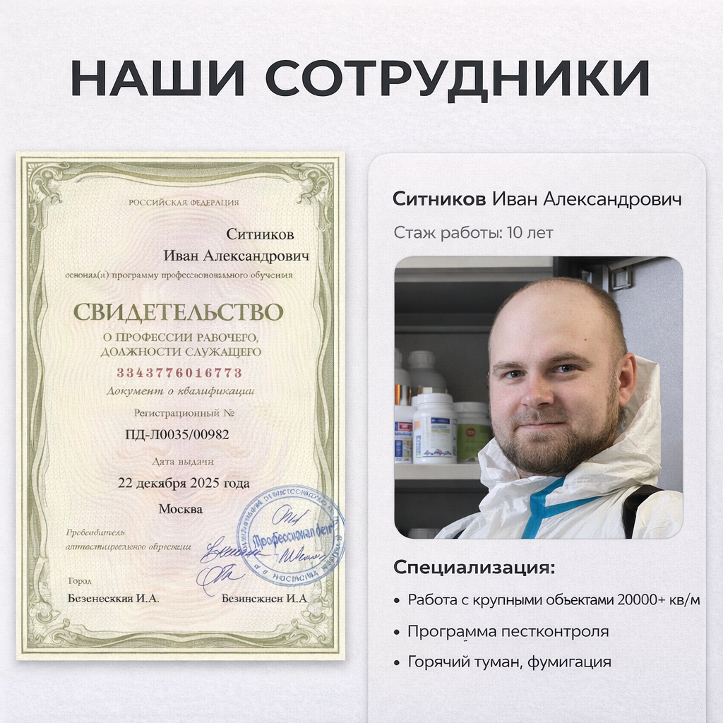 Сотрудник